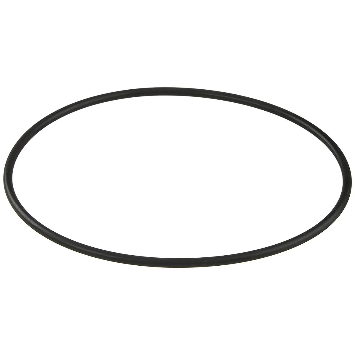 Уплотнительное кольцо корпуса насоса Aquaviva ZWE\WTB