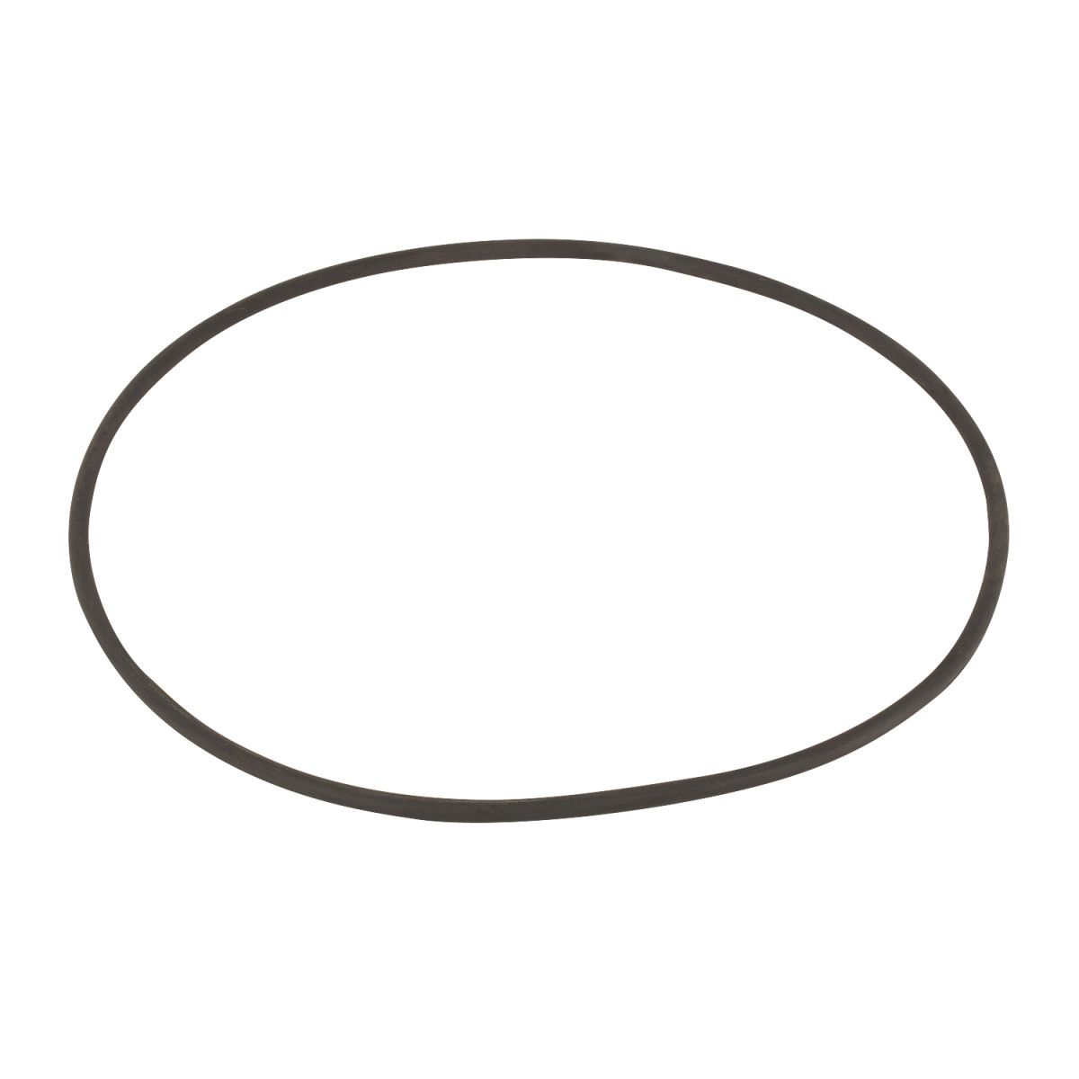 Прокладка-кольцо люка смотрового фильтра SSB Kripsol RSS120.R/ R1202120.4 (R3000202)